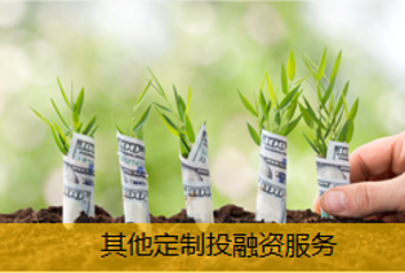其他定制投融資服務(wù)